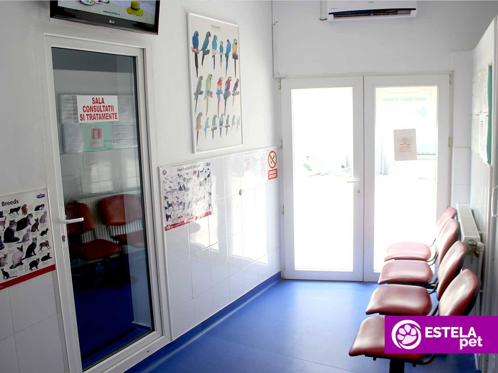 estela pet cabinet veterinar bucuresti drumul taberei