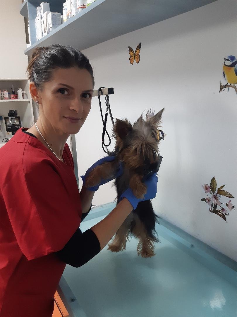 cabinet veterinar sector 3 bucuresti