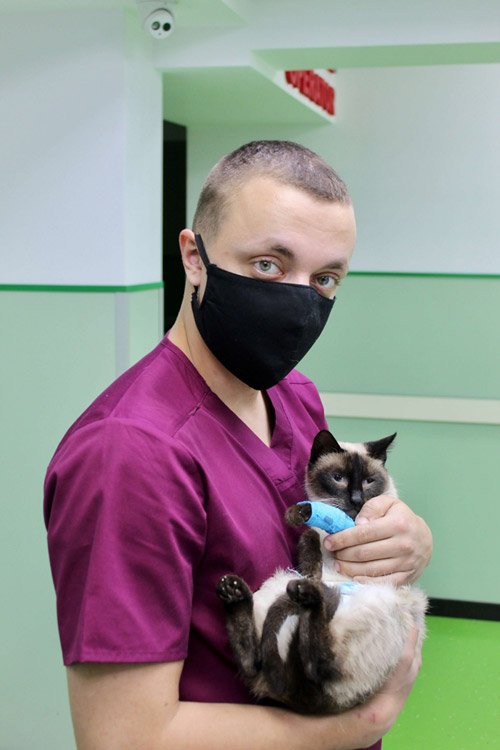 clinica urgente veterinare bucuresti militari sector 6