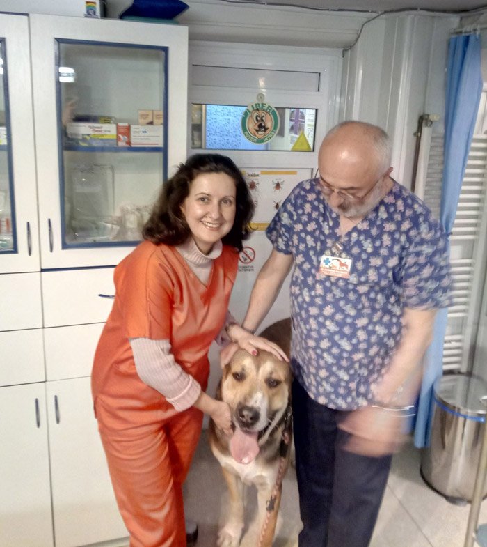 cabinet veterinar alexandru-Diaconescu Sector 5 Cotroceni